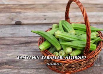 Bamyanın Zararları Nelerdir?