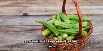 Bamyanın Zararları Nelerdir?