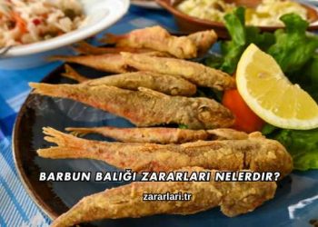 Barbun Balığı Zararları Nelerdir?