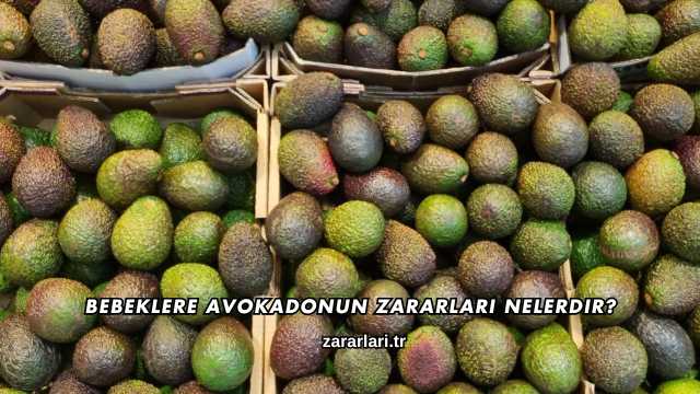 Bebeklere Avokadonun Zararları Nelerdir?