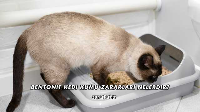 Bentonit Kedi Kumu Zararları Nelerdir?