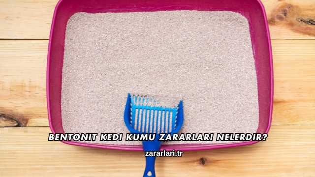 Bentonit Kedi Kumu Zararları Nelerdir?
