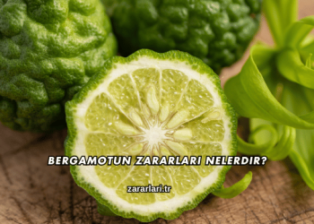 Bergamotun Zararları Nelerdir?