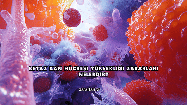 Beyaz Kan Hücresi Yüksekliği Zararları Nelerdir?