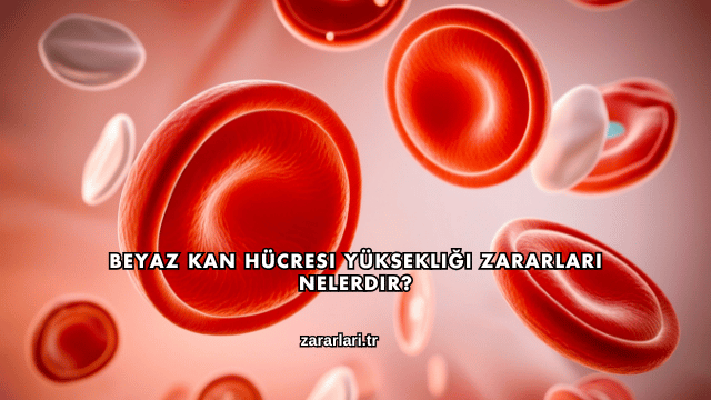 Beyaz Kan Hücresi Yüksekliği Zararları Nelerdir?
