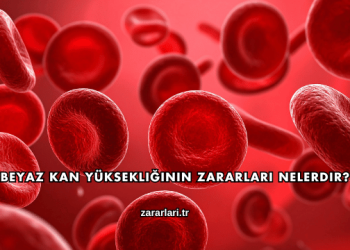 Beyaz Kan Yüksekliğinin Zararları Nelerdir?