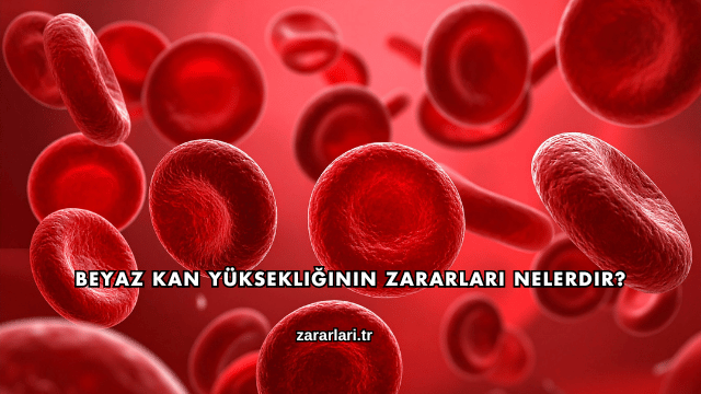 Beyaz Kan Yüksekliğinin Zararları Nelerdir?