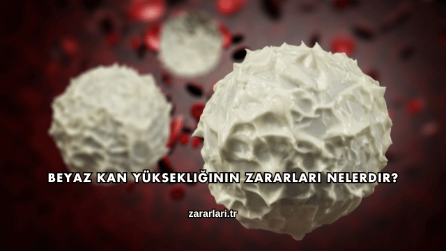 Beyaz Kan Yüksekliğinin Zararları Nelerdir?