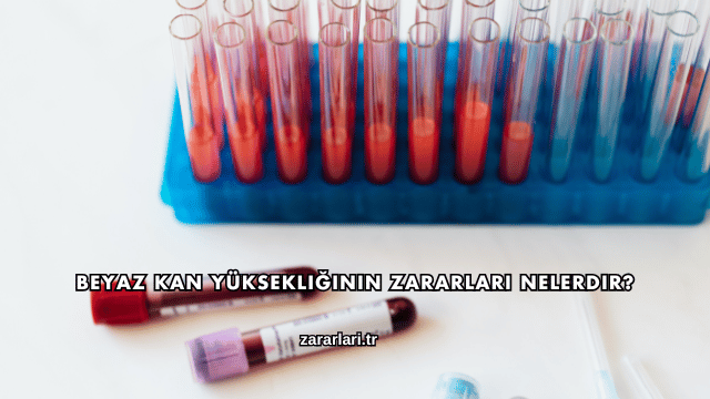 Beyaz Kan Yüksekliğinin Zararları Nelerdir?