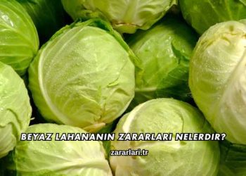Beyaz Lahananın Zararları Nelerdir?