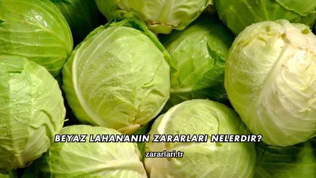 Beyaz Lahananın Zararları Nelerdir?