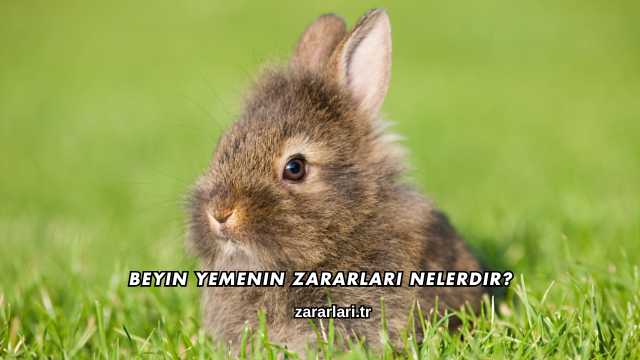 Beyin Yemenin Zararları Nelerdir?