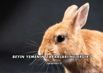 Beyin Yemenin Zararları Nelerdir?