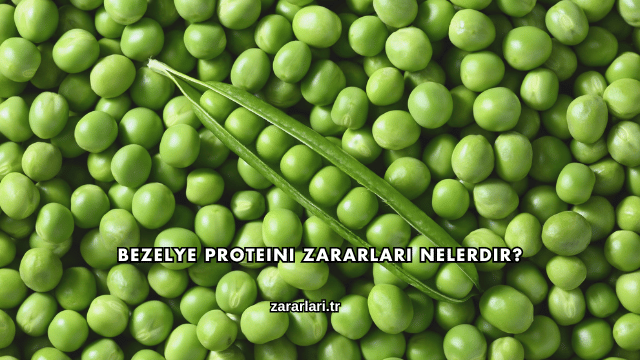 Bezelye Proteini Zararları Nelerdir?