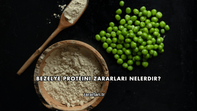 Bezelye Proteini Zararları Nelerdir?