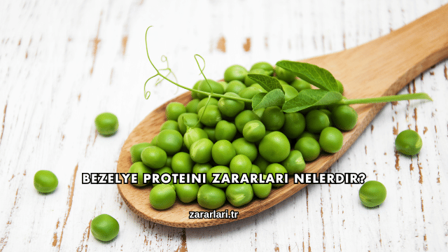 Bezelye Proteini Zararları Nelerdir?
