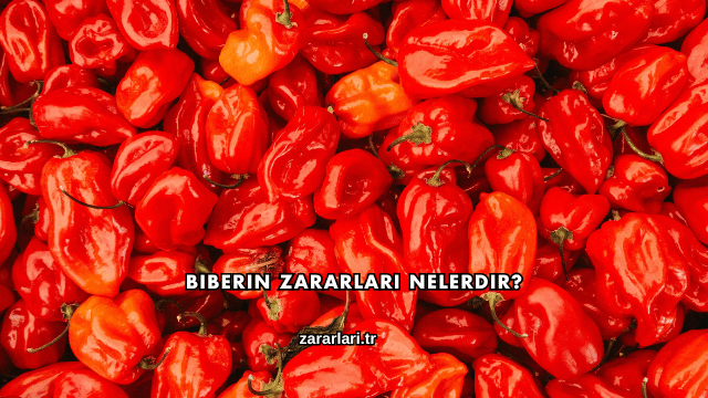 Biberin Zararları Nelerdir?
