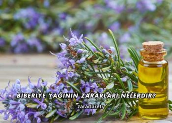 Biberiye Yağının Zararları Nelerdir?