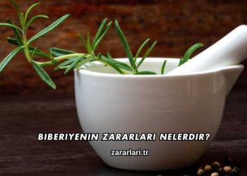 Biberiyenin Zararları Nelerdir?