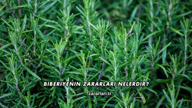 Biberiyenin Zararları Nelerdir?