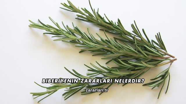 Biberiyenin Zararları Nelerdir?