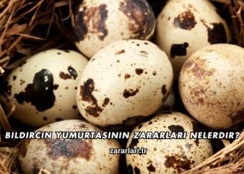 Bıldırcın Yumurtasının Zararları Nelerdir?