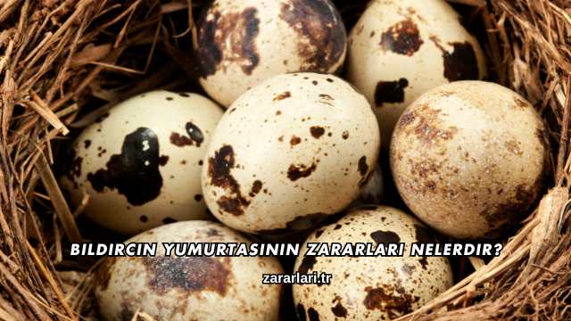 Bıldırcın Yumurtasının Zararları Nelerdir?