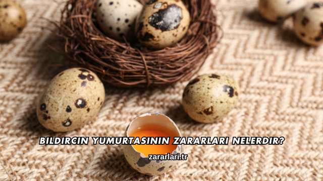Bıldırcın Yumurtasının Zararları Nelerdir?