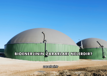 Bioenerjinin Zararları Nelerdir?