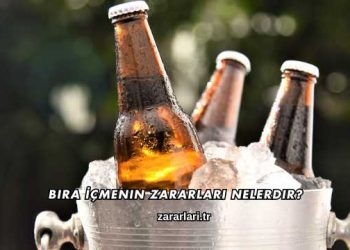 Bira İçmenin Zararları Nelerdir?