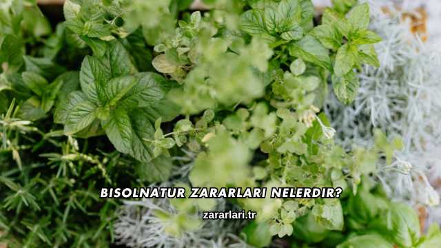 Bisolnatur Zararları Nelerdir?