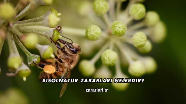 Bisolnatur Zararları Nelerdir?