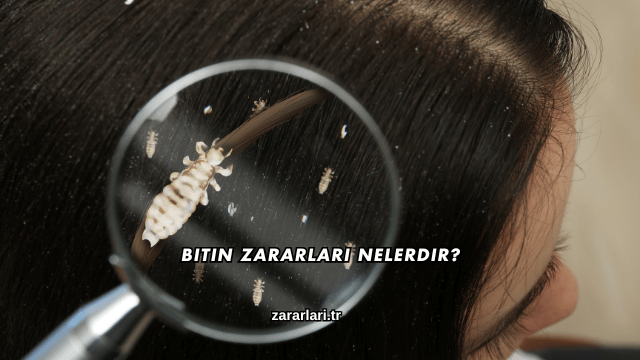 Bitin Zararları Nelerdir?