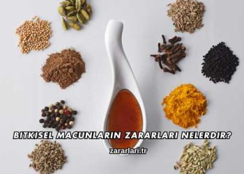 Bitkisel Macunların Zararları Nelerdir?