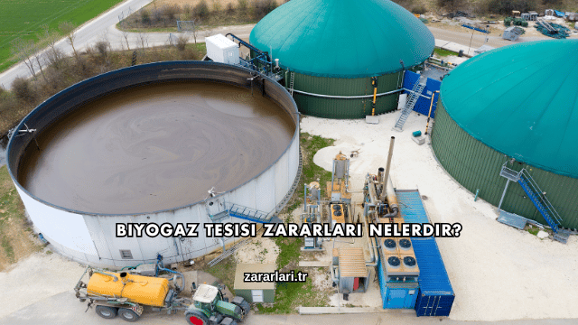 Biyogaz Tesisi Zararları Nelerdir?