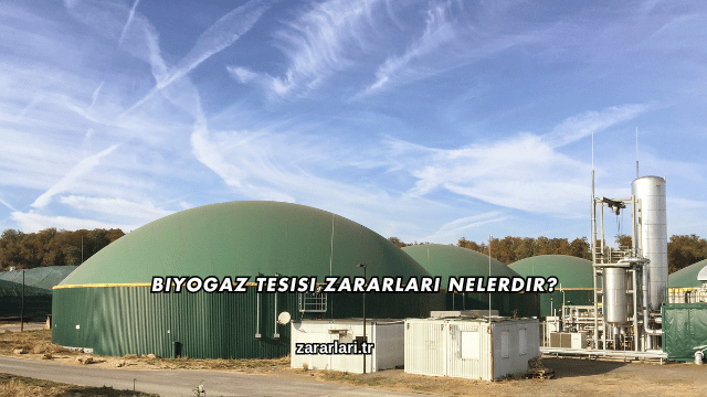 Biyogaz Tesisi Zararları Nelerdir?