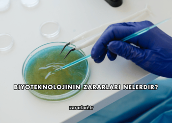 Biyoteknolojinin Zararları Nelerdir?
