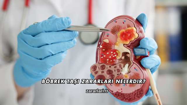 Böbrek Taşı Zararları Nelerdir?