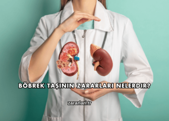 Böbrek Taşının Zararları Nelerdir?