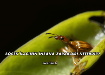 Böcek İlacının İnsana Zararları Nelerdir?