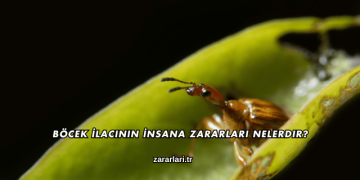 Böcek İlacının İnsana Zararları Nelerdir?