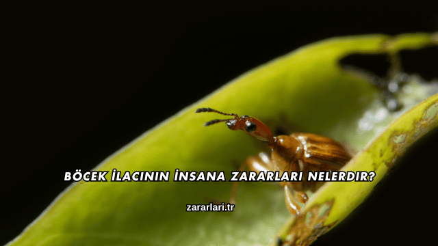 Böcek İlacının İnsana Zararları Nelerdir?