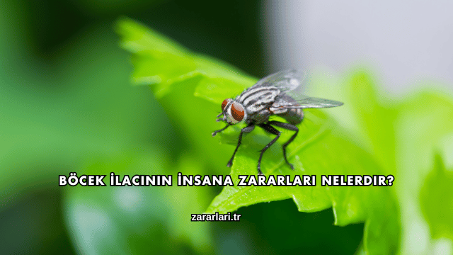 Böcek İlacının İnsana Zararları Nelerdir?