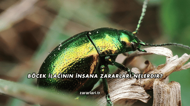 Böcek İlacının İnsana Zararları Nelerdir?