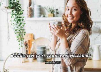 Böğürtlen Çayı Zararları Nelerdir?