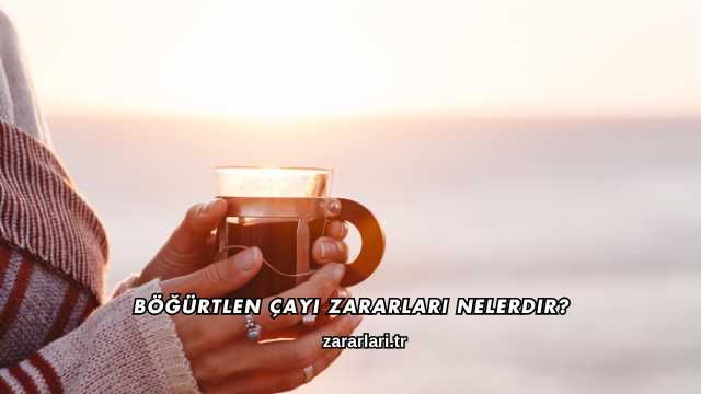 Böğürtlen Çayı Zararları Nelerdir?