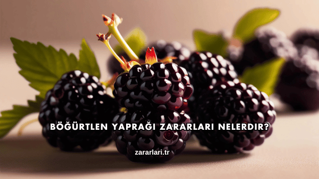 Böğürtlen Yaprağı Zararları Nelerdir?