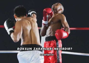 Boksun Zararları Nelerdir?