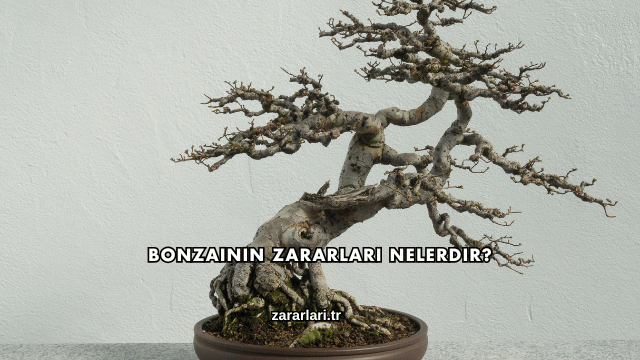 Bonzainin Zararları Nelerdir?