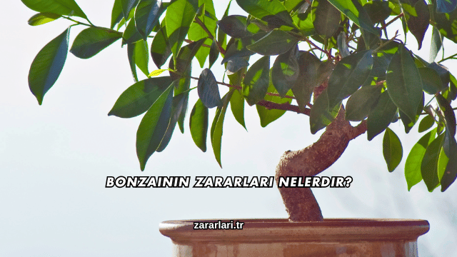Bonzainin Zararları Nelerdir?